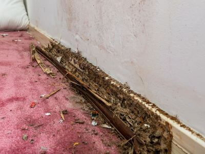 About HydroStream Co - water damage restoration experts in Chula Vista